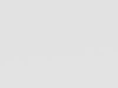 DRON S166 with adult camera GPS drone with 4K triple camera Low-poly 3D model