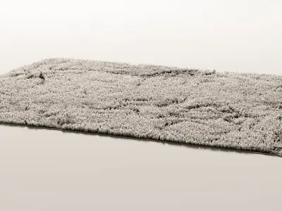 Rectangle fur rug  3 colors 3D model
