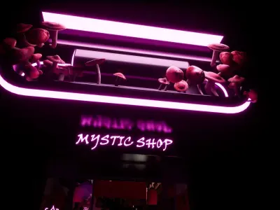 Mystic Shop 3D model