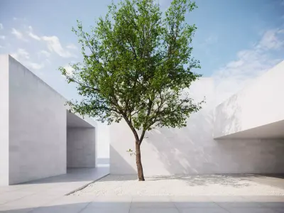 Forest tree 3D model