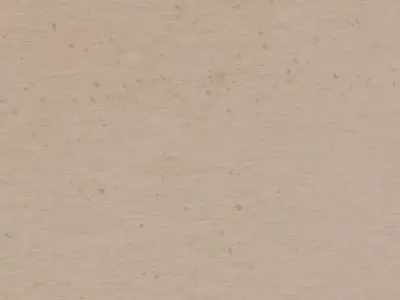 Industrial Studded Wood Wall Panels PBR Texture