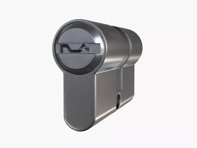 standard door profile cylinder PZ 3D model