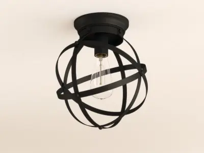 Walck Light Caged Globe Flush Mount 3D model