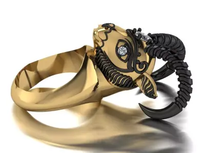 ram ring 3D print model