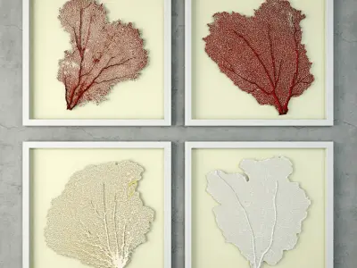 Sea Fans Collection 3D Model Pack