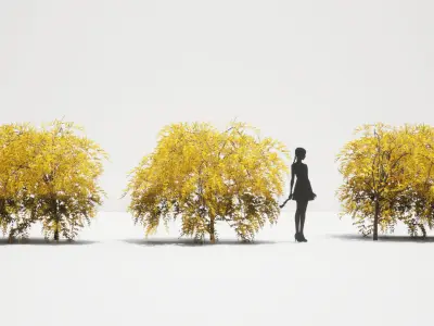 PREMIUM PLANT PACK - 10 realistic Korean Street Tree Pack 01 3D model