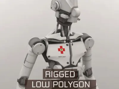 Robots Rigged Low Poly 3D Model Pack