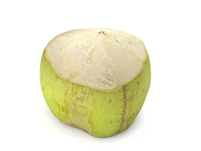 Green Coconut - Photorealistic  Scan Low-poly 3D model