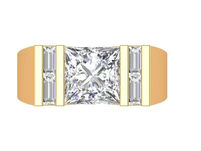 Princess Budget Gents Ring 3D print model