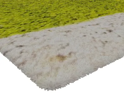 Rug Set 1732 3D model