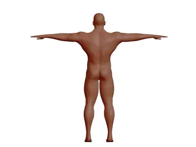 Male 3d model 3D model