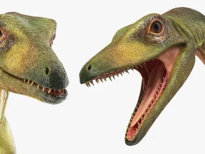  Carnivorous Dinosaurs Rigged for Maya Collection 2 