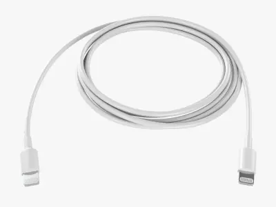 White Lightning cable double sided 3D model