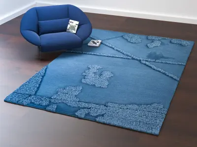 Robin Rug 3D model