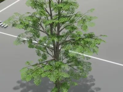 Black Alder Low-Poly Tree Package Low-poly 3D model