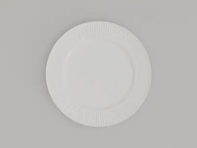 Ridges Lunch Plate Low-poly 3D model