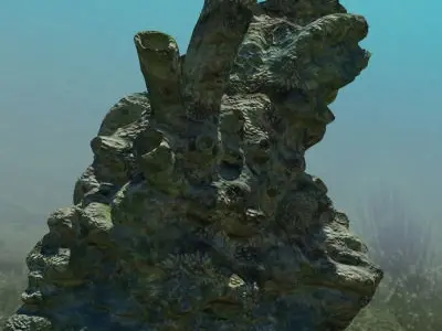 Coral Large 3D model