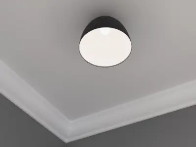 Ceiling light C539BL Low-poly 3D model