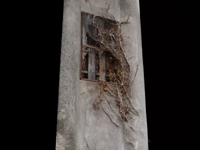 Window overgrown with plants 3D model