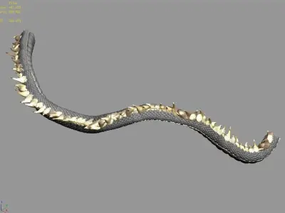 Shinomiya village dragon middle 3D model