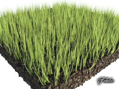 Grass patch 03 3D model