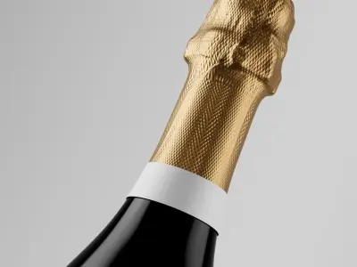 Sparkling Wine Photorealistic Bottle 3D Model Set 3D model