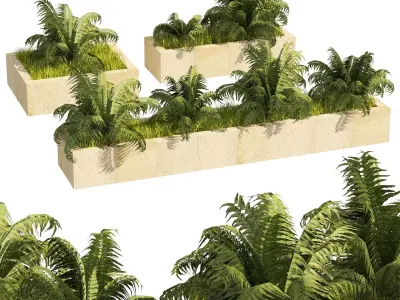 3 Street swordfern border plant Low-poly 3D model