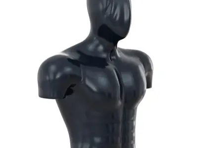 Male Sports Mannequin Torso for Outerwear 113 3D model