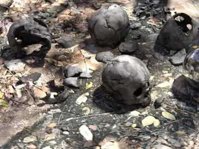 Human Skull Collection Low-poly 3D model