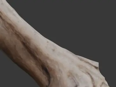 Leaning Tree Trunk Scan Low-poly 3D model