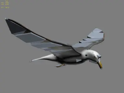  HIGH DETAILED SEAGULL 3D MODEL FULLY RIGGED &amp; ANIMATED 
