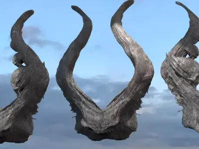 Alien meteor Sculls 3D model