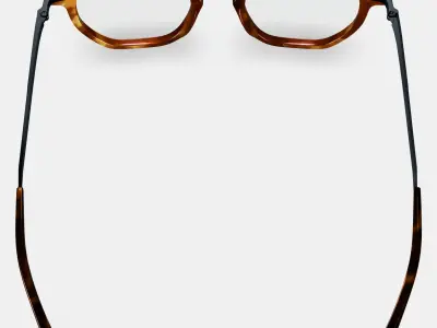 Rustin Eyeglasses in Root Beer with Brushed Ink 3D model