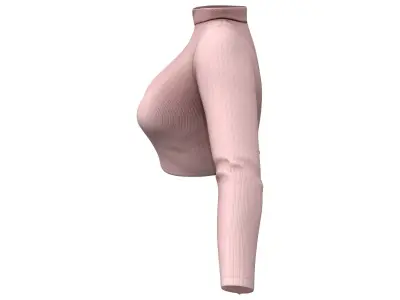 Bow Tied Open Back Turtle Neck Long Sleeve Crop Sweater Top Low-poly 3D model