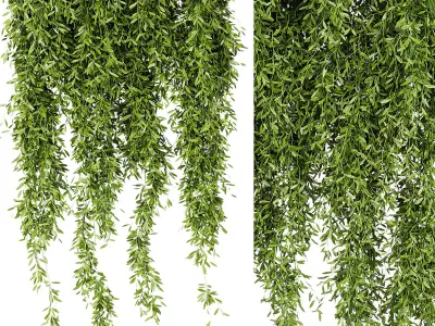 Indoor Plants -  21  hanging plants in pots 3D model