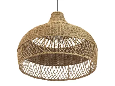 New wicker round tulip skirt rattan light 3D model