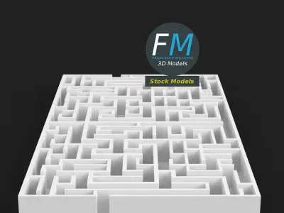 Rectangular labyrinth 2 3D model