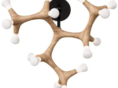 Root Anzazo-P5 3D model