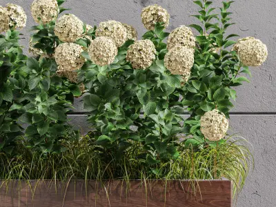 Outdoor Plant Set 001 Plant Box 3D model