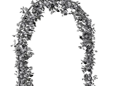 Door Outdoor rose 3D model