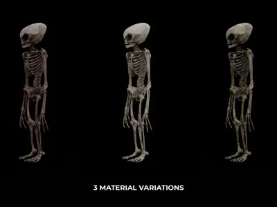 Humanoid Alien Skeleton  Low-poly 3D model