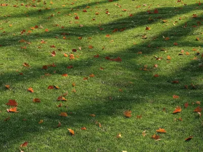 lawn with leaves 2 3D model