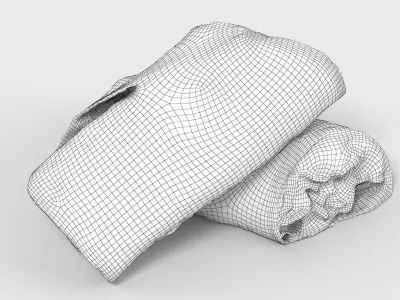 Sandwich Wrap 3D model