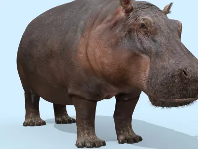  Colossal Animal Pack HD - Animated1 