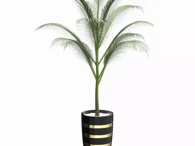 Green Palm decorative plant 1 3D model