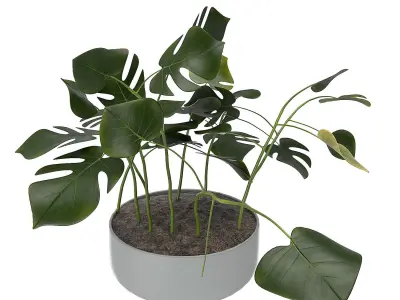 Dining Furnitures Set 55 3D model