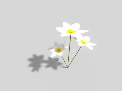 Low poly Plant flower Low-poly 3D model