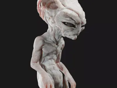 Gray Alien Blender Low-poly 3D model