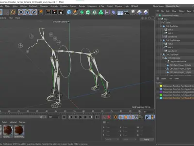  Doberman Pinscher Fur for Cinema 4D Rigged 