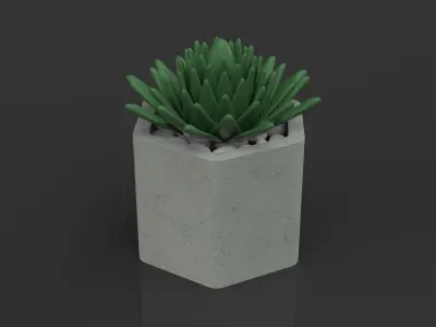 Succulent in a pot 3D model